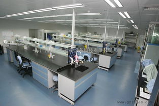實驗室家具標準尺寸與科技服務 打造高效安全的科研空間